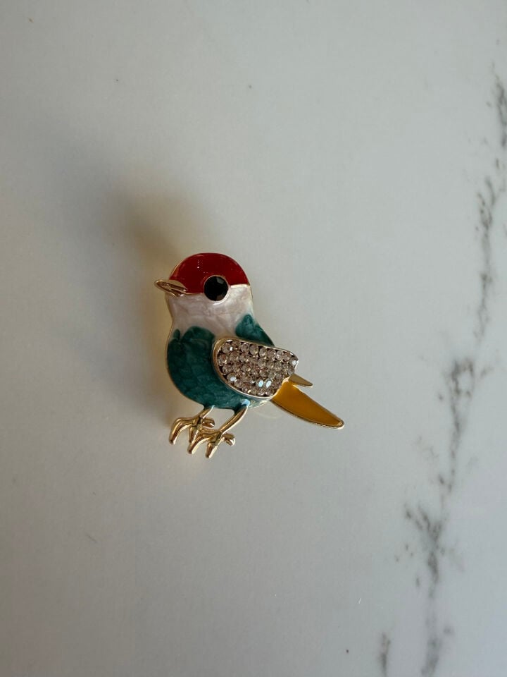 Broş