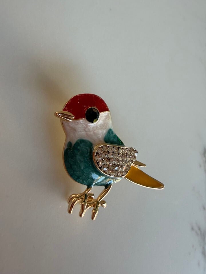 Broş